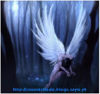 les anges sont